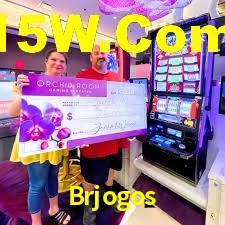 Statistics Brjogos