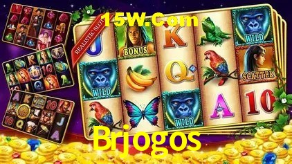 Brjogos Salvador - Promo Stats